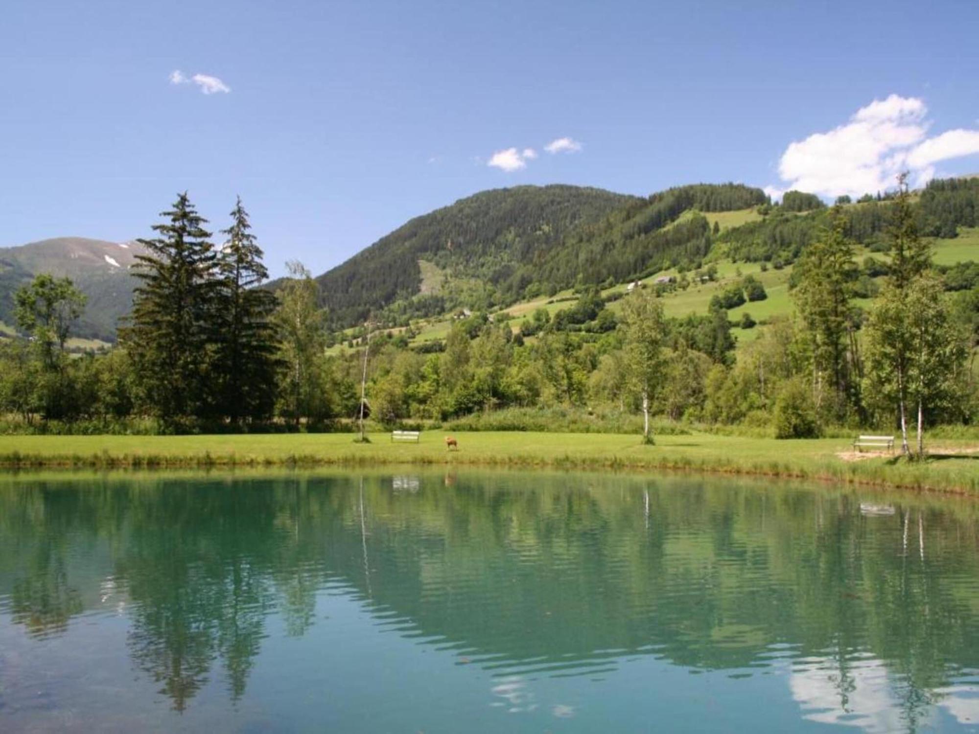 Chalet In Stadl An Der Mur Styria Near Ski Area المظهر الخارجي الصورة